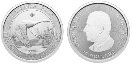 Canada 10 Dollars - 2 Onces - Oie Bernache - 2025 - Argent