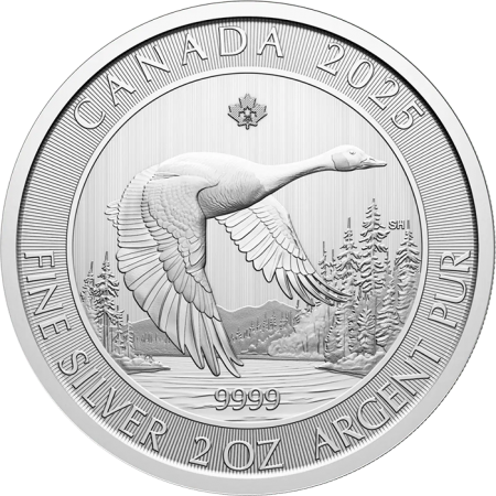 Canada 10 Dollars Argent 2025 - L\'oie - 2 Onces