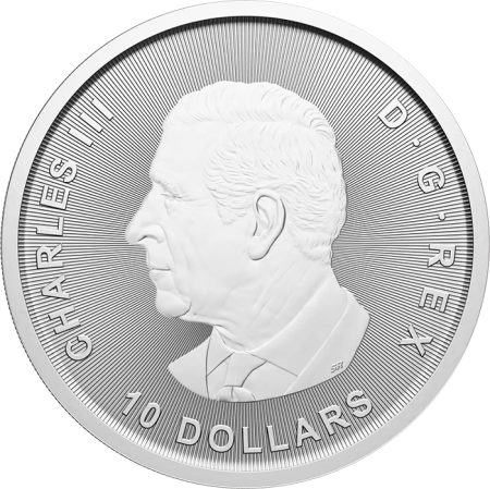 Canada 10 Dollars Argent 2025 - L\'oie - 2 Onces