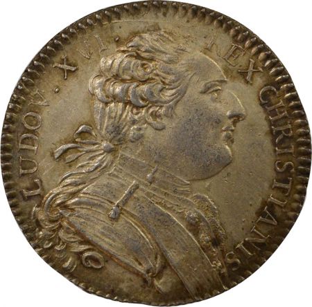 France Etats de Bretagne, Louis XVI  Jeton Argent - 1786 Rennes