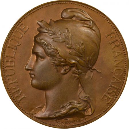 France Jules Grévy - Médaille Bronze, Sénateur Hubert Michaux - 1885