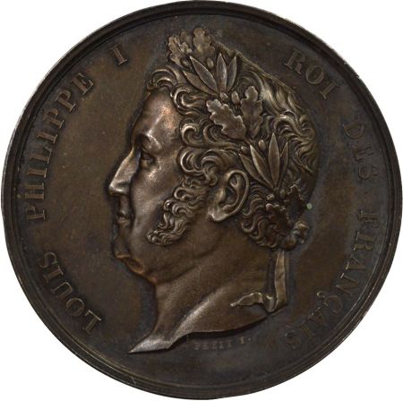 France Louis Philippe I - Médaille Argent, Chambre des Députés - 1846