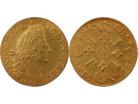 France LOUIS XIV - DOUBLE LOUIS D\'OR AUX 4 L 1693 A PARIS