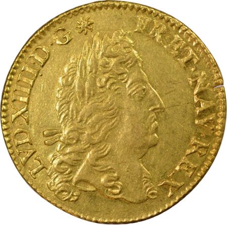 France Louis XIV - Louis d\'Or à l\'Ecu - 1690 A Paris