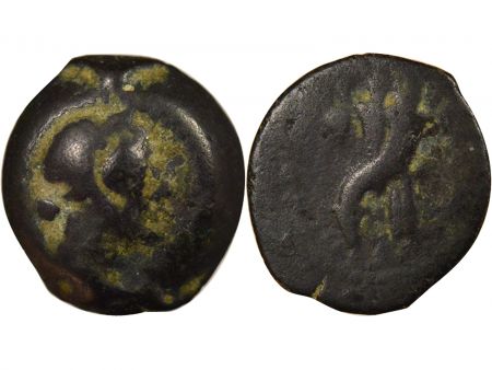 Grèce (Egypte) Royaume Lagide, Ptolémée IV - AE - Chypre, 222-205 Av JC