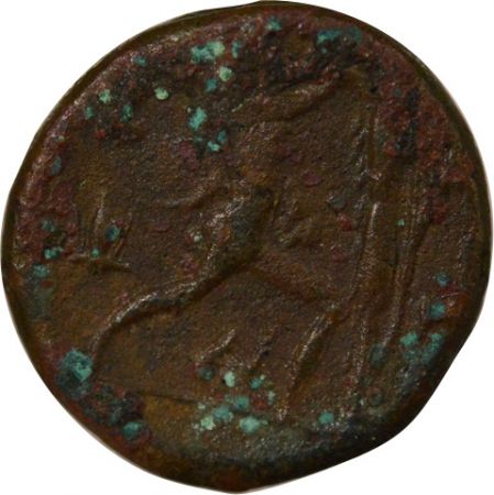 Italie (Campanie) Antigone II Gonatas - Ae - 277 / 230 Av JC