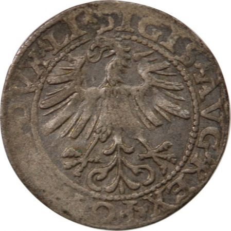 Lituanie GRAND DUCHE DE LITUANIE, SIGISMOND II - 1563 VILNIUS