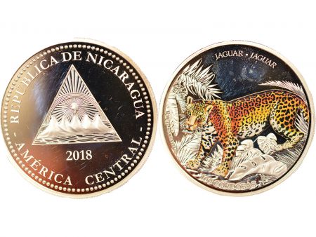 Nicaragua 100 Cordobas Argent colorisé, Jaguar - 2018 Auckland