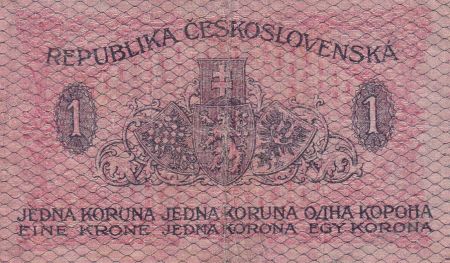 Tchécoslovaquie 1 Koruna - Bleu - 1919 - P.6a