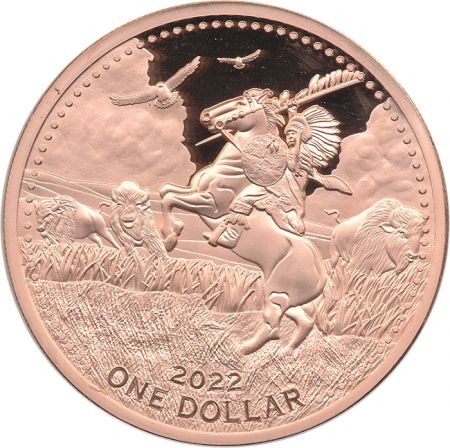 USA Bison Hunter - 1 Dollar 2022 Mesa Grande