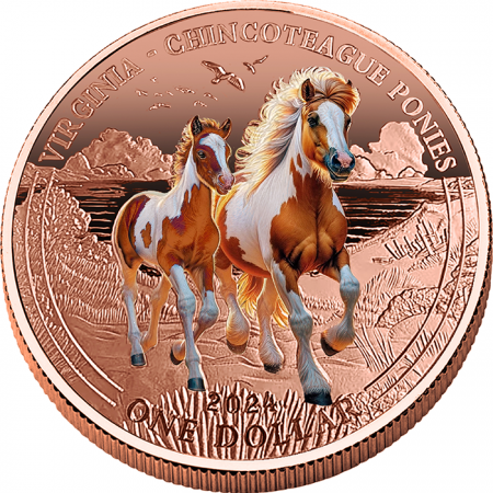 USA Chincoteague - 1 Dollar 2024 Cuivre couleur Mesa Grande