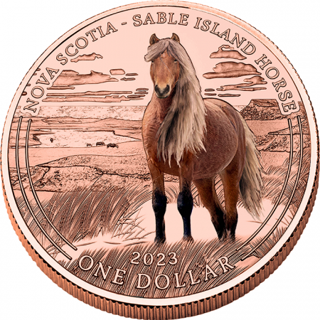 USA Poney de l\'île de Sable - 1 Dollar 2023 Cuivre couleur Mesa Grande