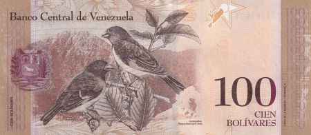 Venezuela 100 Bolivares - Simon Bolivar - Petit cardinal - 23-06-2015 - Série AT