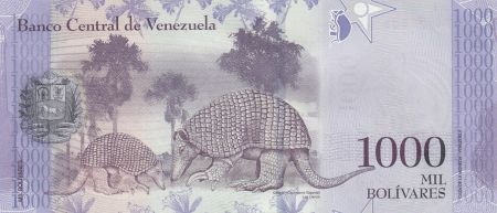 Venezuela 1000 Bolivares - Pedro Camejo - Tatous - 23-03-2017 - Lettre Q