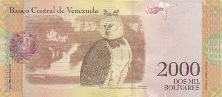 Venezuela 2000 Bolivares - Guaicaipuro - Hibou - 18-08-2016 - Lettre B